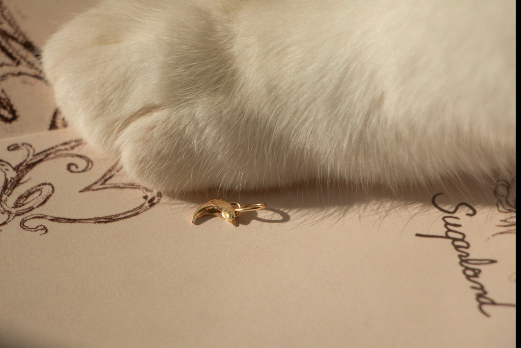 CAT CLAW PENDANT