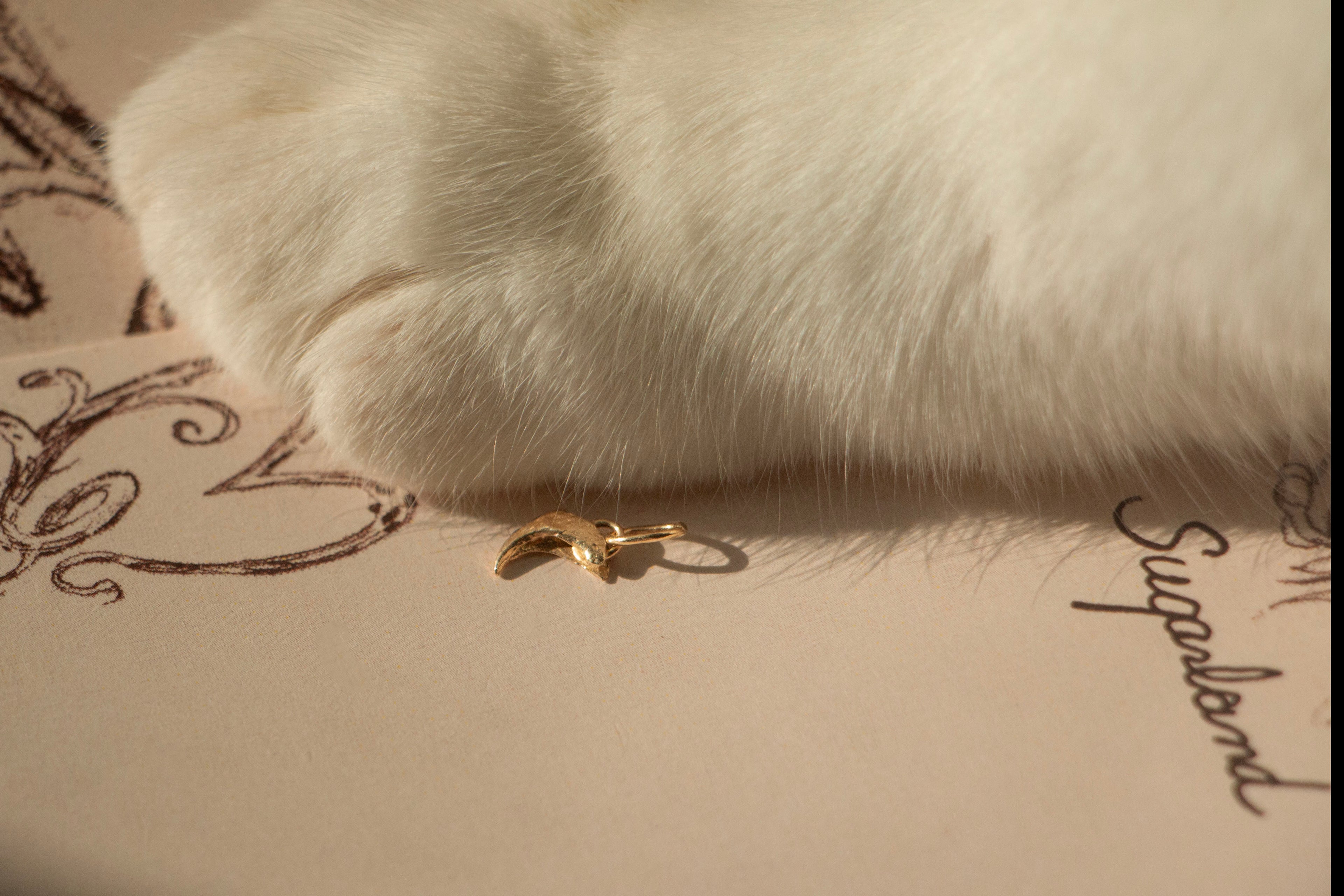 CAT CLAW PENDANT