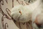 CAT CLAW PENDANT