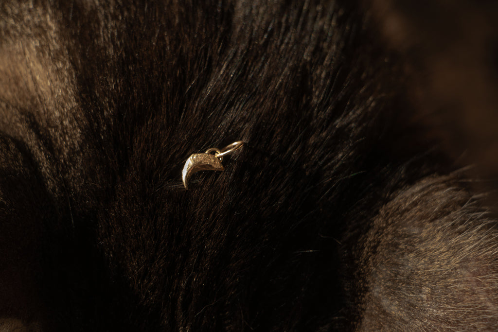 CAT CLAW PENDANT