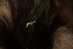 CAT CLAW PENDANT