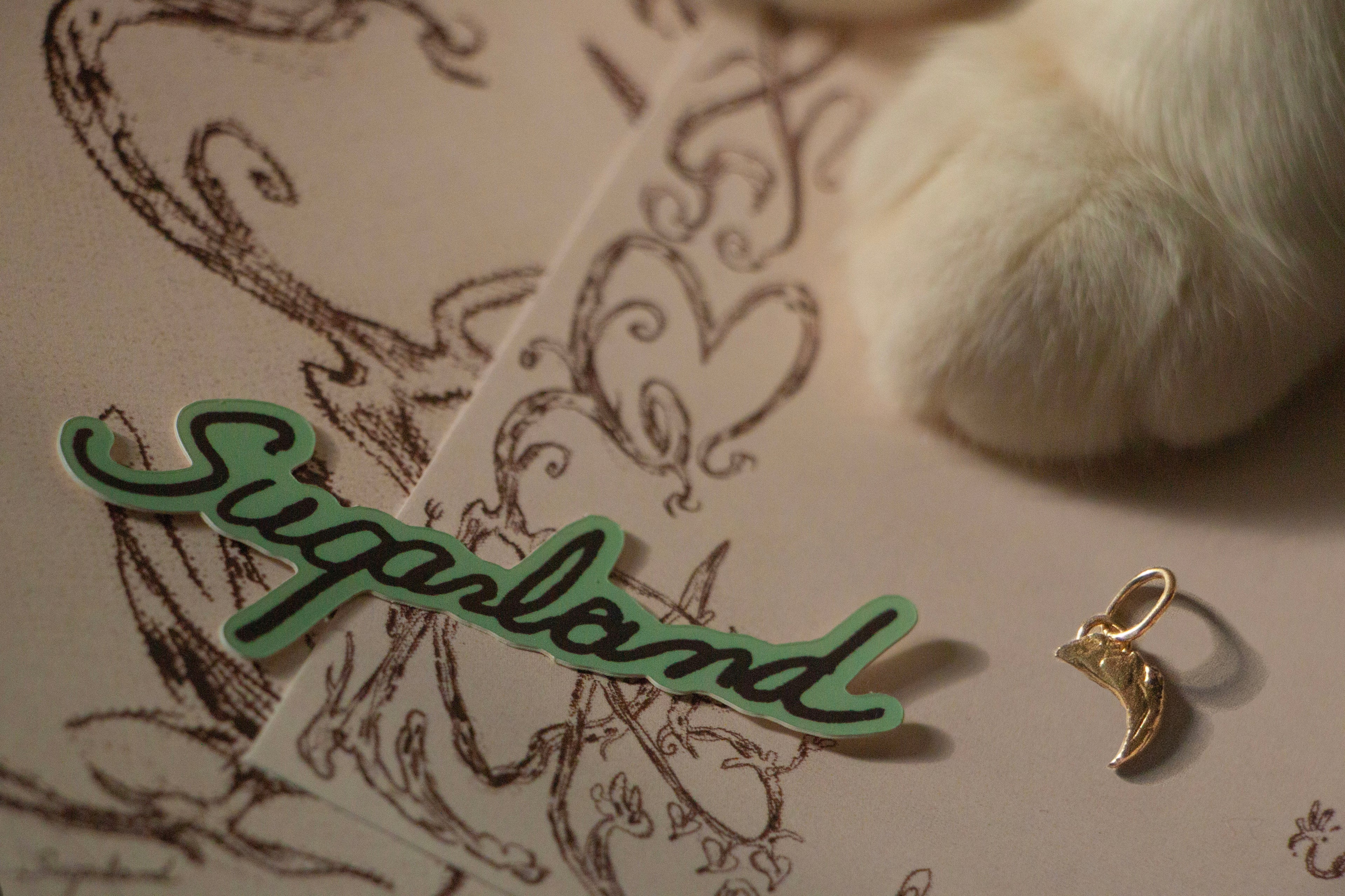SUGARLAND STICKER
