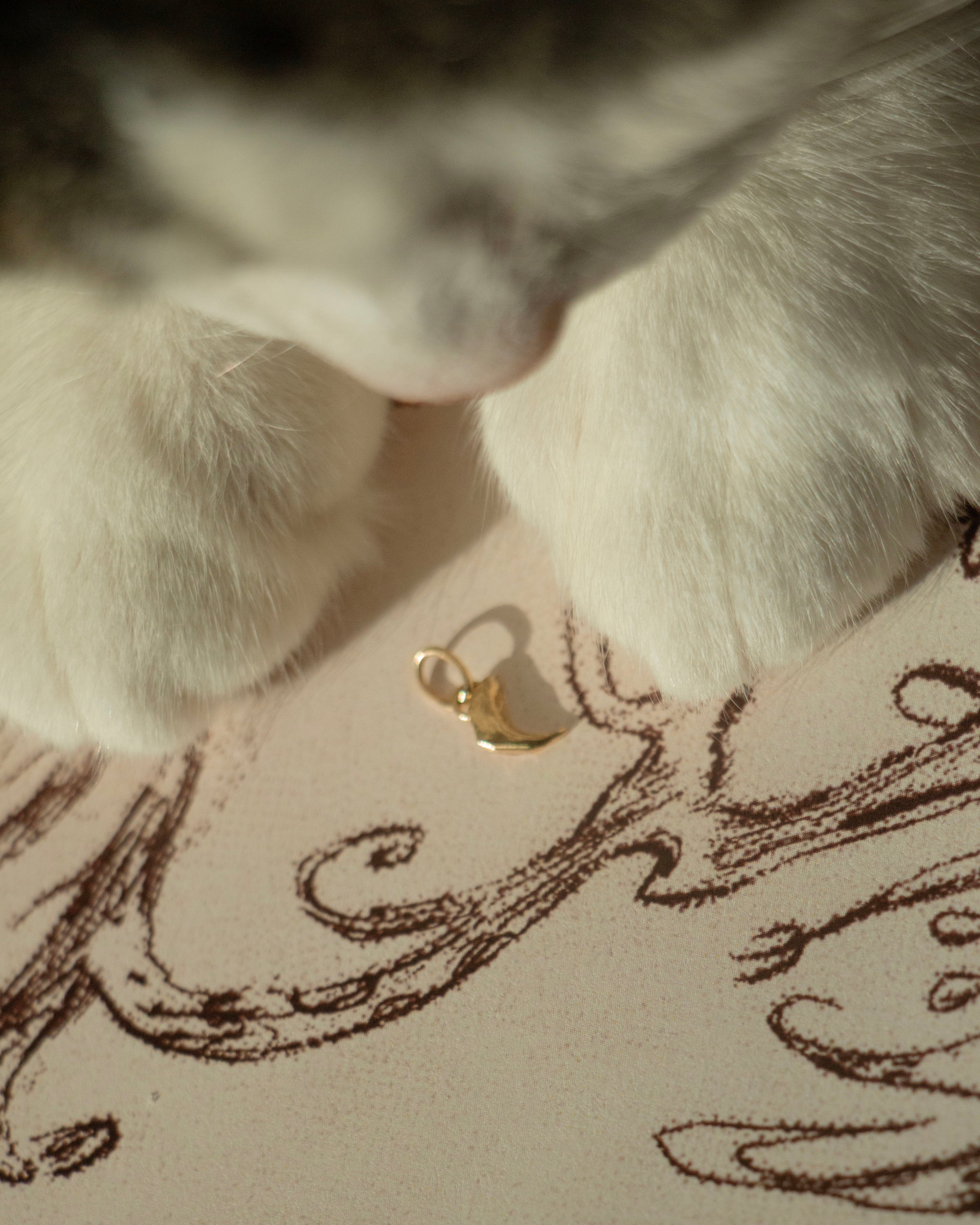 CAT CLAW PENDANT