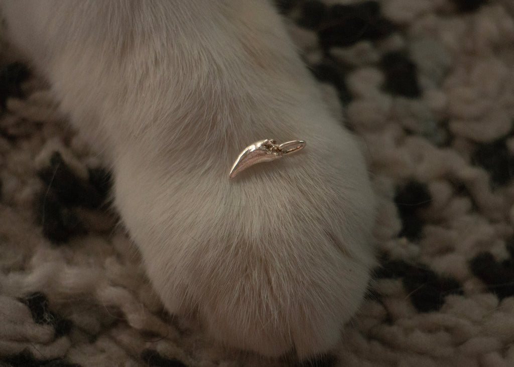 BRUISER'S TOOTH PENDANT