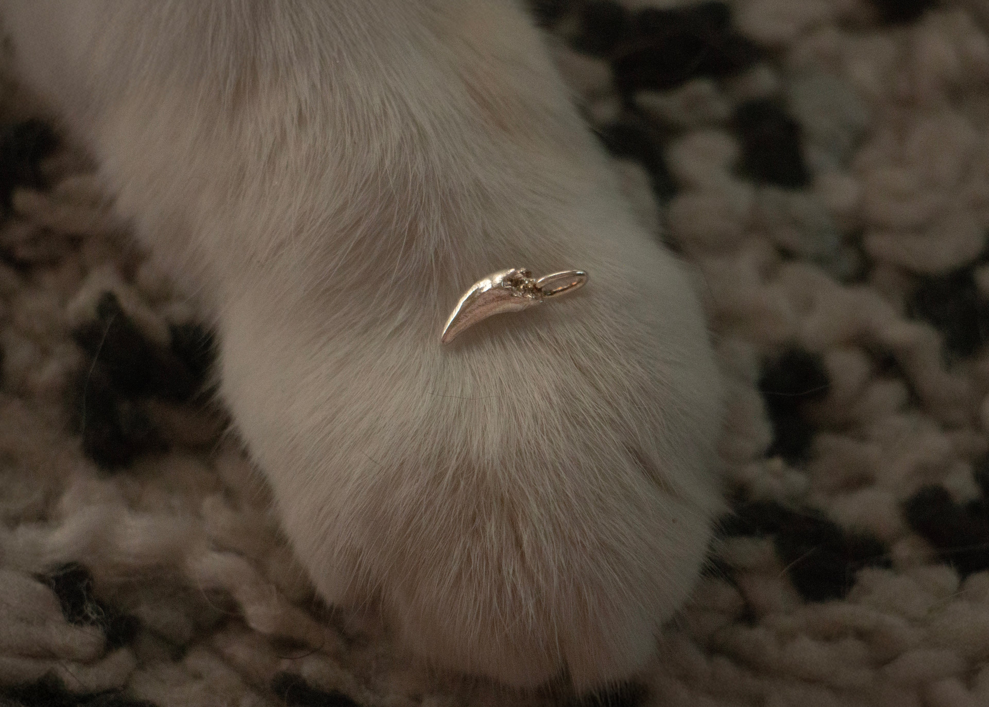 BRUISER'S TOOTH PENDANT