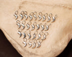 CAT CLAW PENDANT