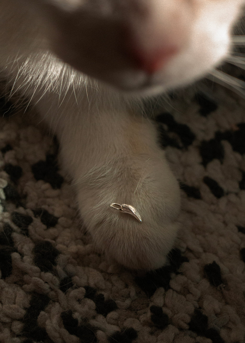 BRUISER'S TOOTH PENDANT