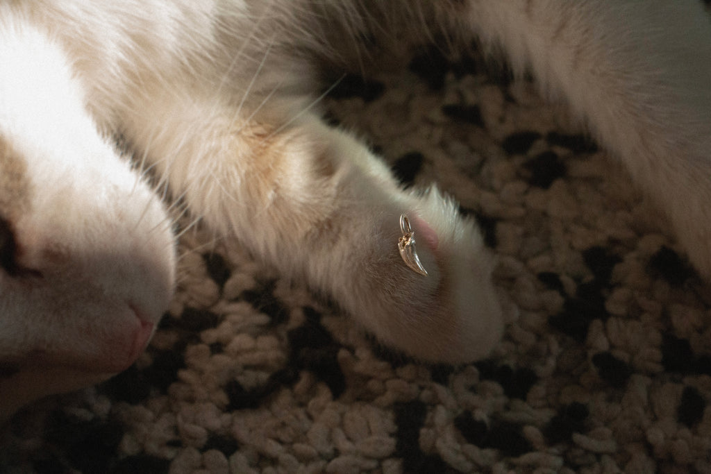 BRUISER'S TOOTH PENDANT