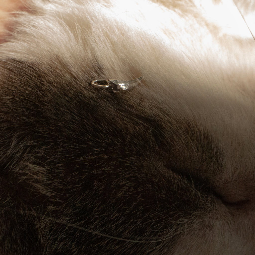 BRUISER'S TOOTH PENDANT