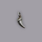 BRUISER TOOTH PENDANT
