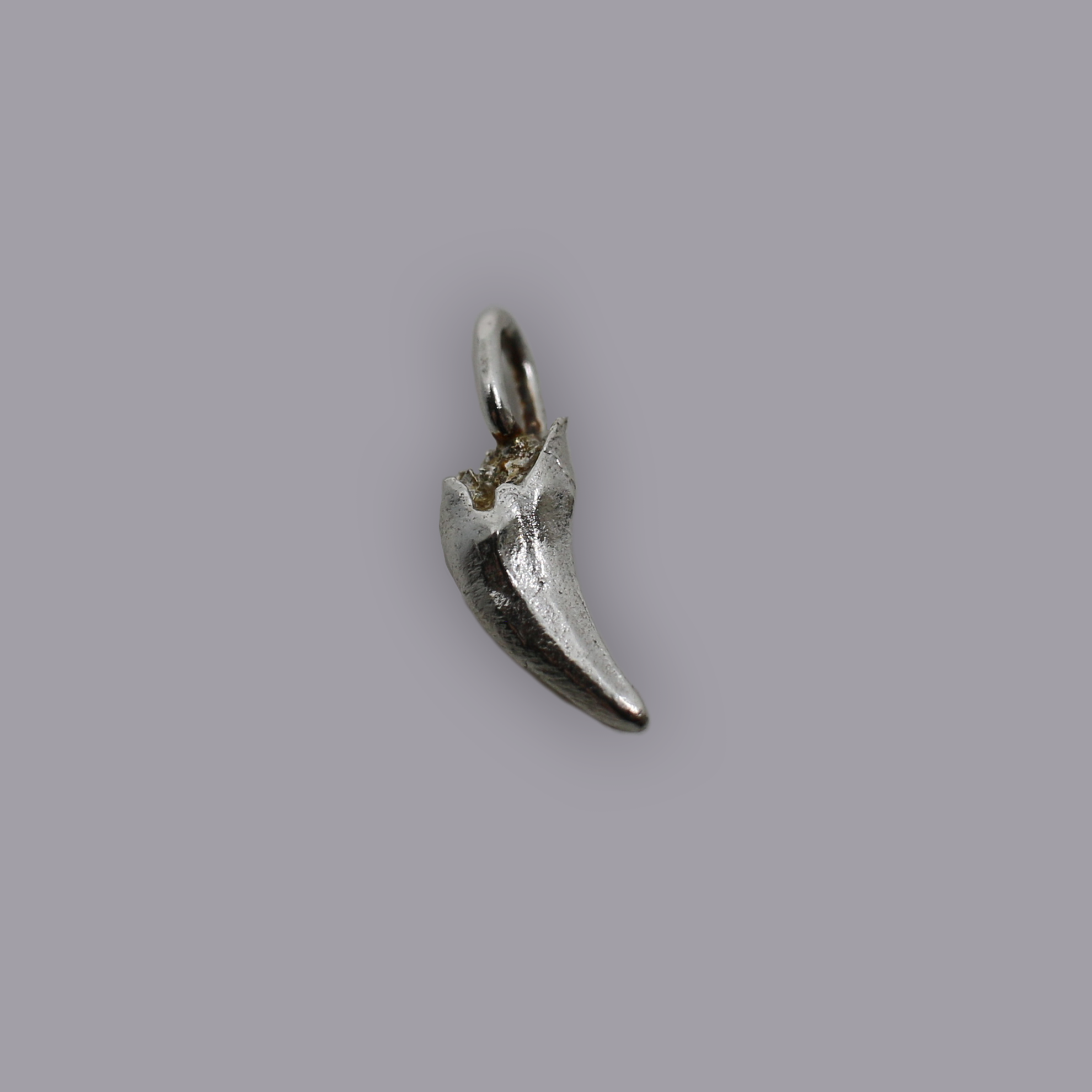 BRUISER TOOTH PENDANT