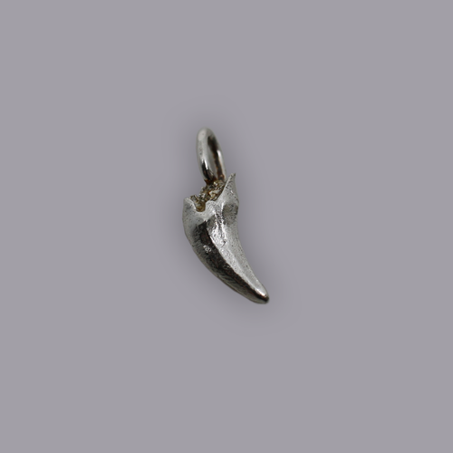 BRUISER TOOTH PENDANT
