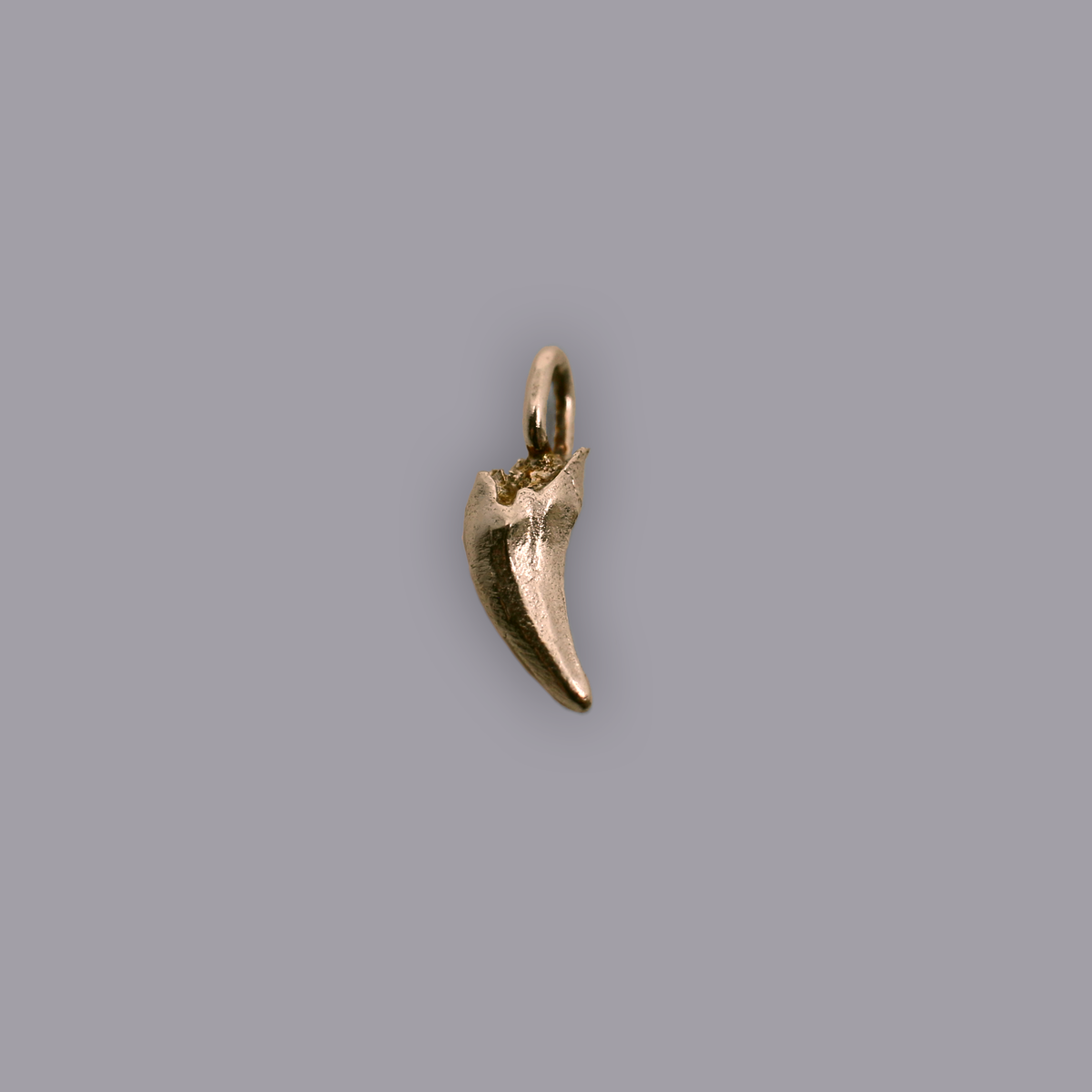 BRUISER TOOTH PENDANT